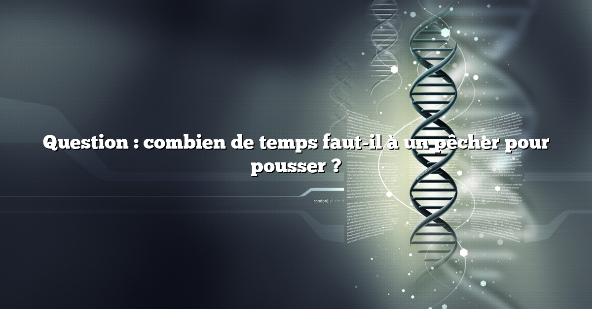 Question : combien de temps faut-il à un pêcher pour pousser ?